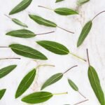 Whiten Your Teeth : A Powerful Way to Brighten Smile