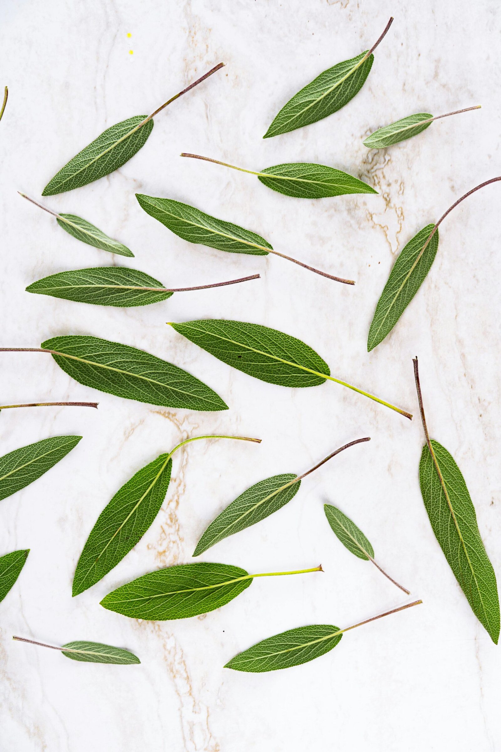 Whiten Your Teeth : A Powerful Way to Brighten Smile